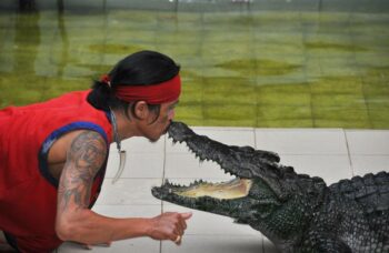 Зоопарк на Пхукете фото №7