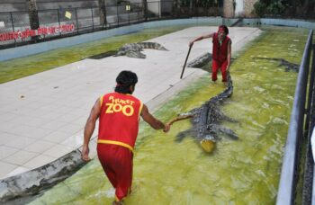 Зоопарк на Пхукете фото №5