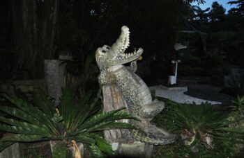 Зоопарк на Пхукете фото №1