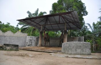 Зоопарк на Пхукете фото №14