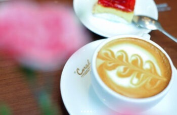 Fast Track фото №11