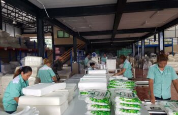 производство изделий из латекса фото №1