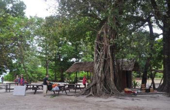 Остров Тачай фото №11