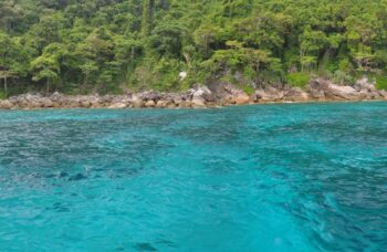 Остров Тачай фото №15