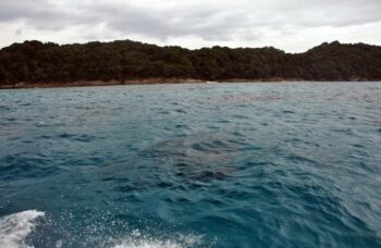 Остров Тачай фото №16