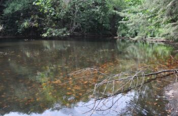 Остров Тачай фото №27