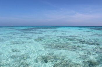 Остров Тачай фото №36