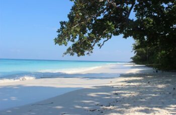 Остров Тачай фото №47