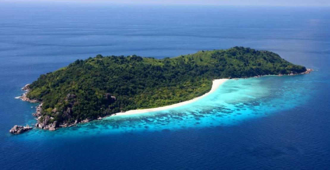 Тачай 1 день