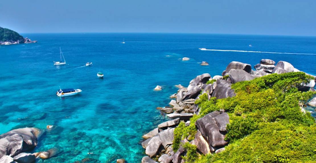 Симиланы + Тачай