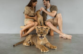 Парк львов фото №10