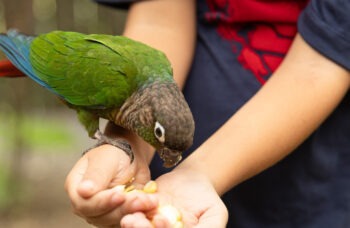 पक्षी अभ्यारण्य фото №1