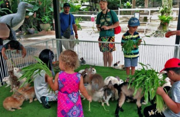 पक्षी अभ्यारण्य фото №6